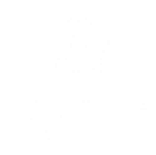 avitfashion